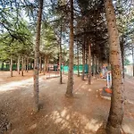 империал&краун форт нокс гранд ризорт